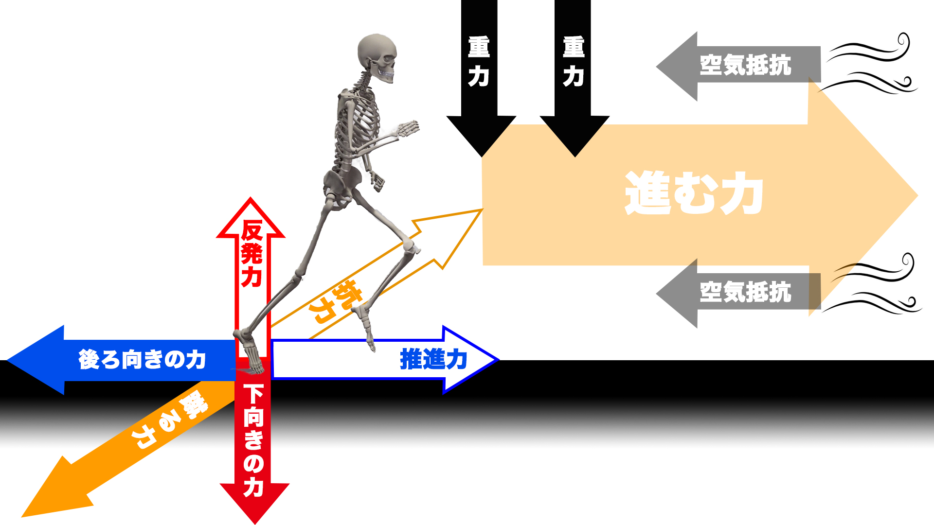 足が速くなる方法」より「走りの仕組み」を考えよう | ShoesPicks