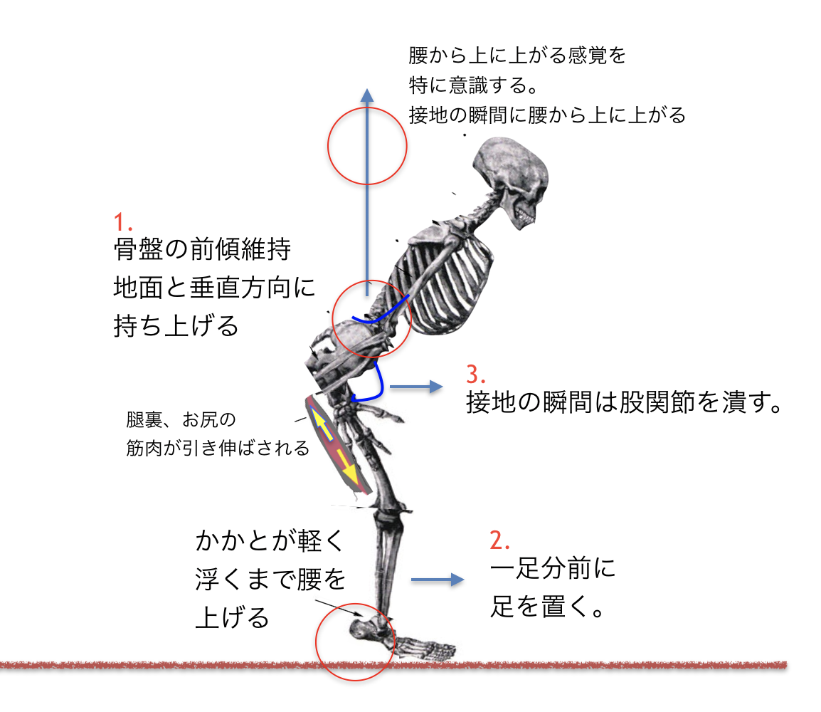 伸張反射を使えるようになるドリルその Shoespicks